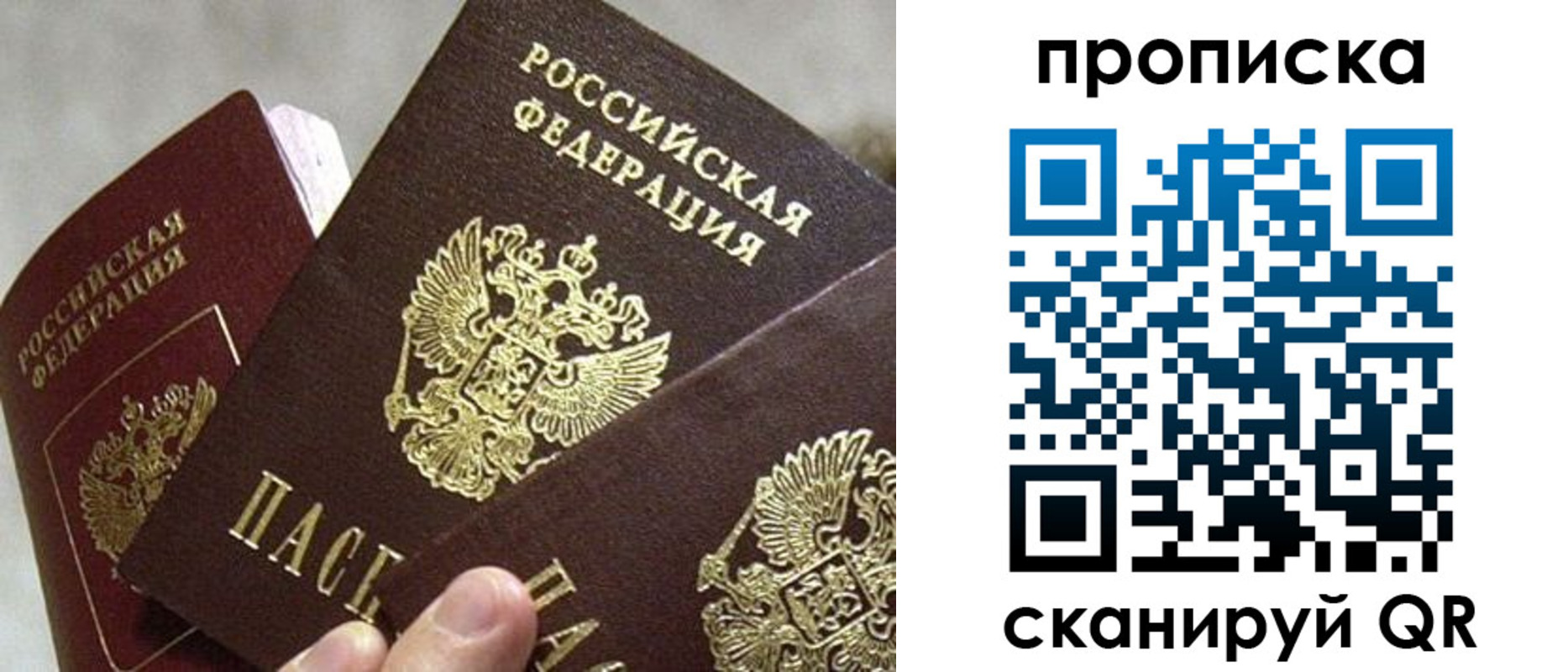 прописка 2025 в Скопине
